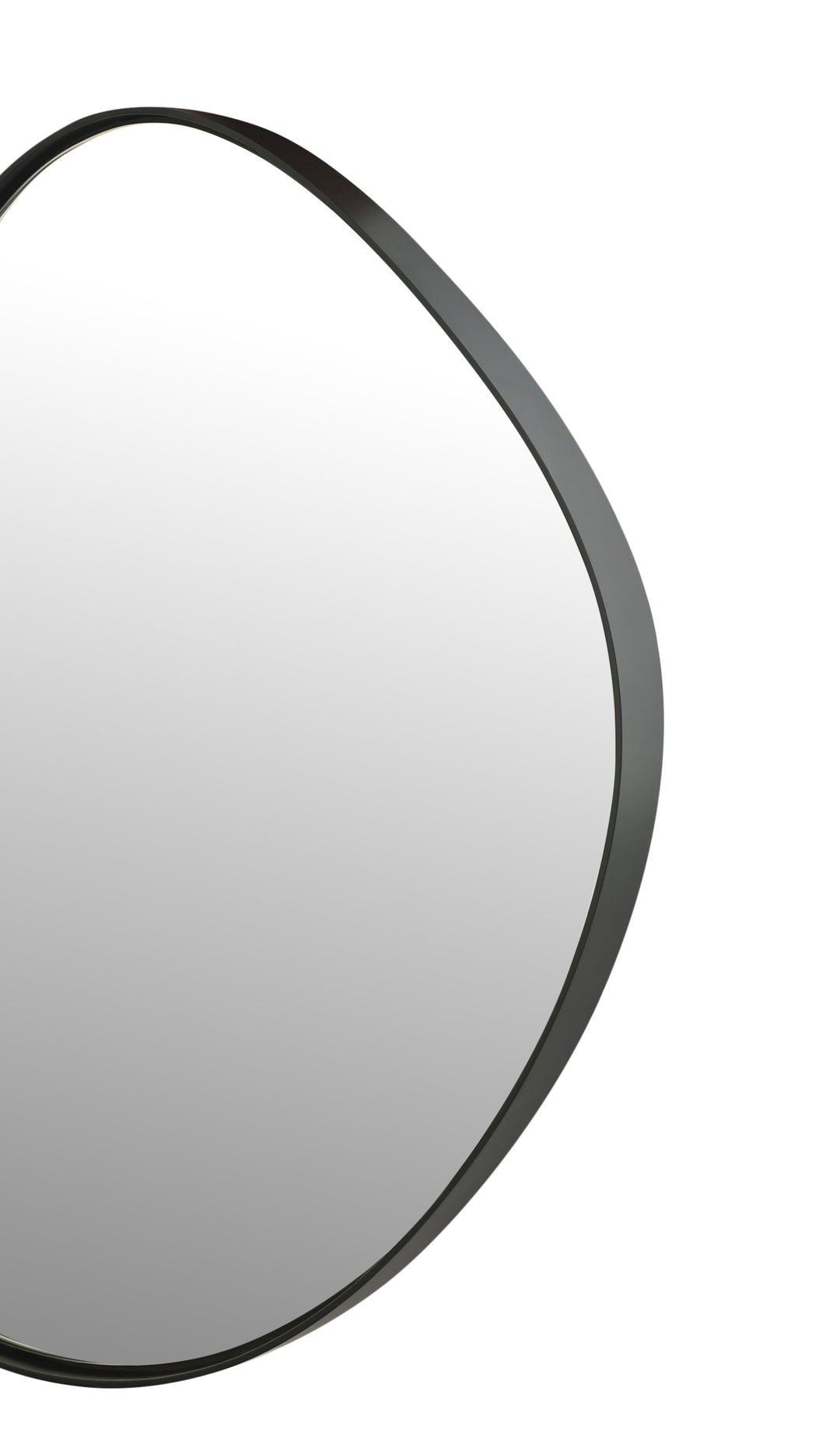 Organic Pebble Black Wall Mirror Modern Decorative Accent