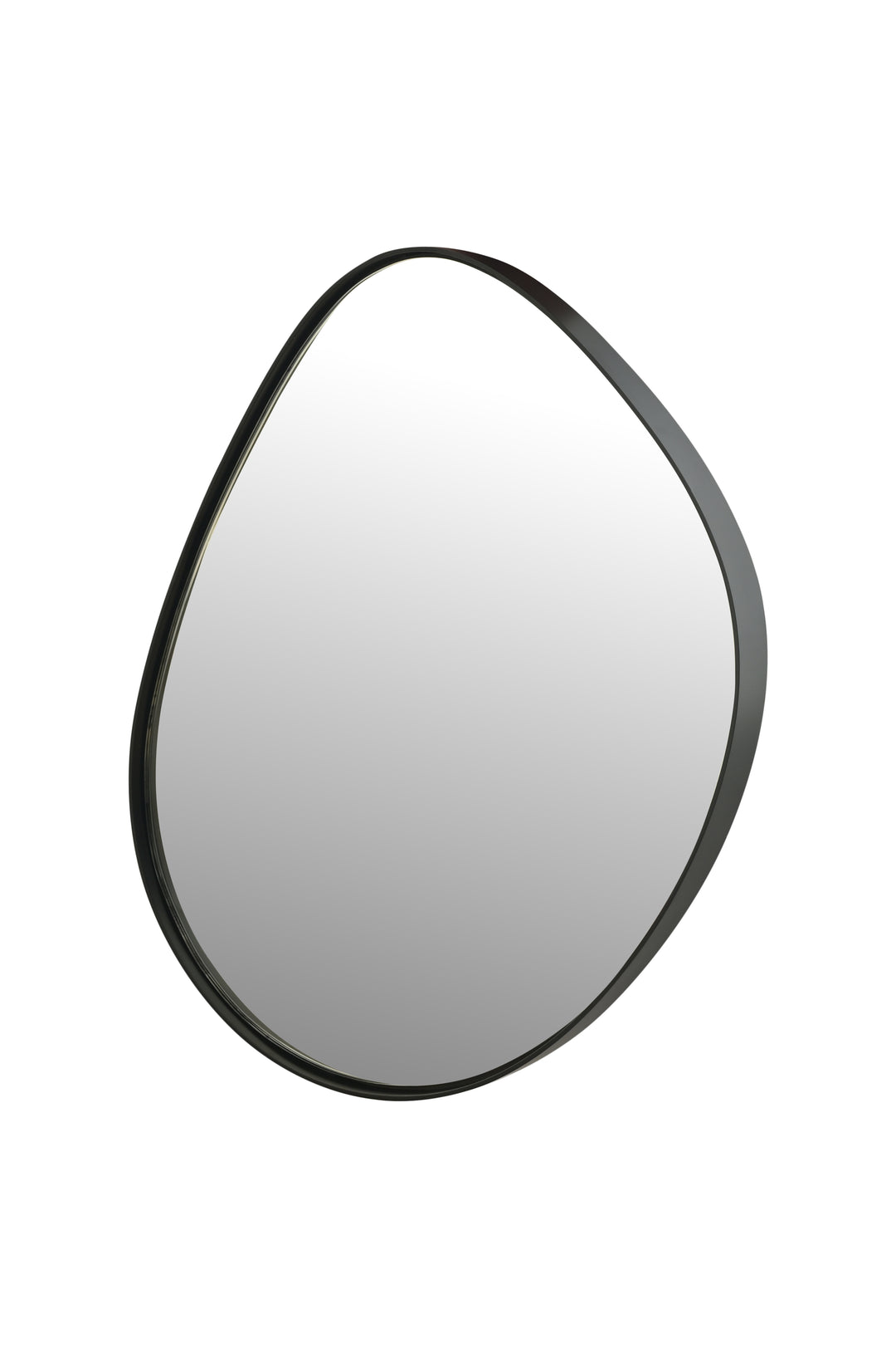 Organic Pebble Black Wall Mirror Modern Decorative Accent