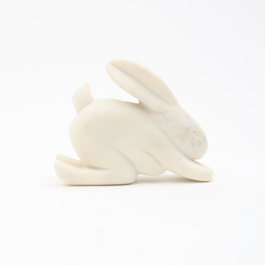 Steve Bunny
