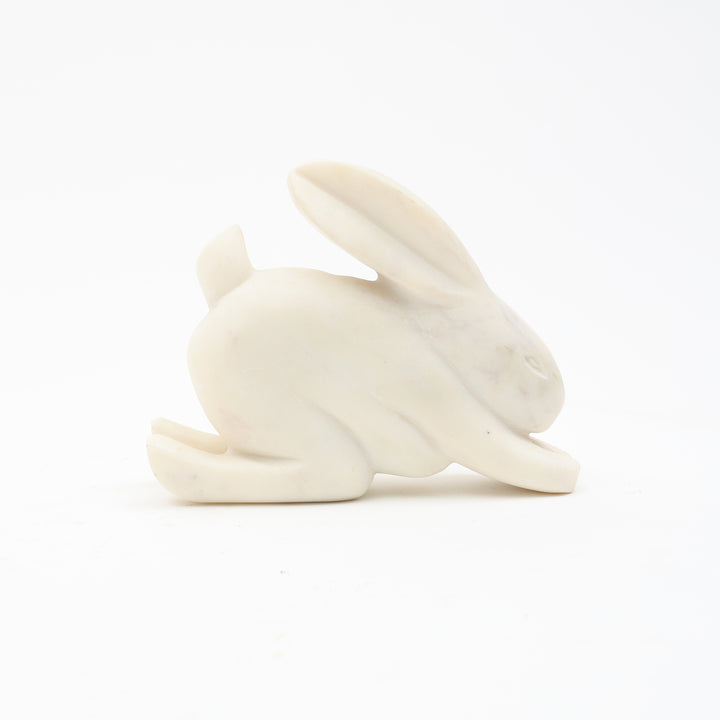 Steve Bunny