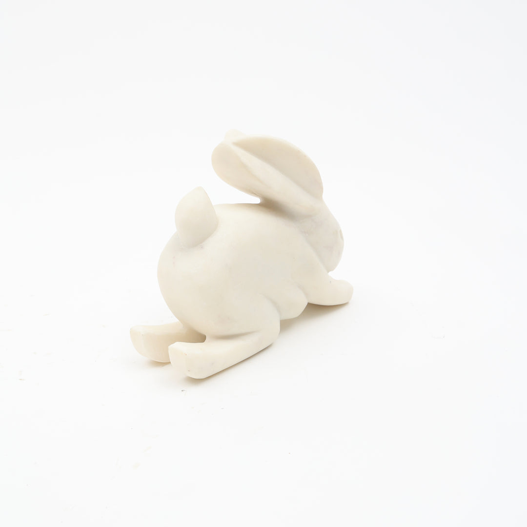 Steve Bunny