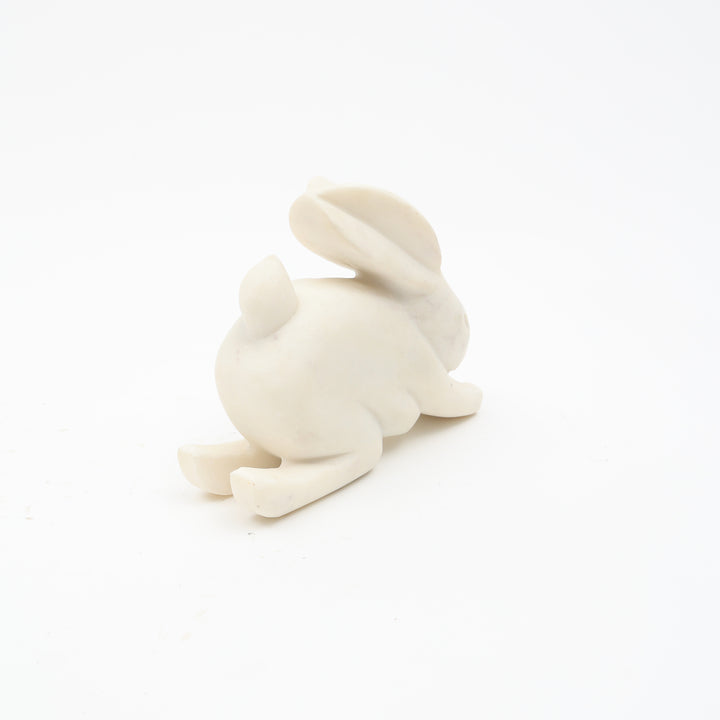 Steve Bunny