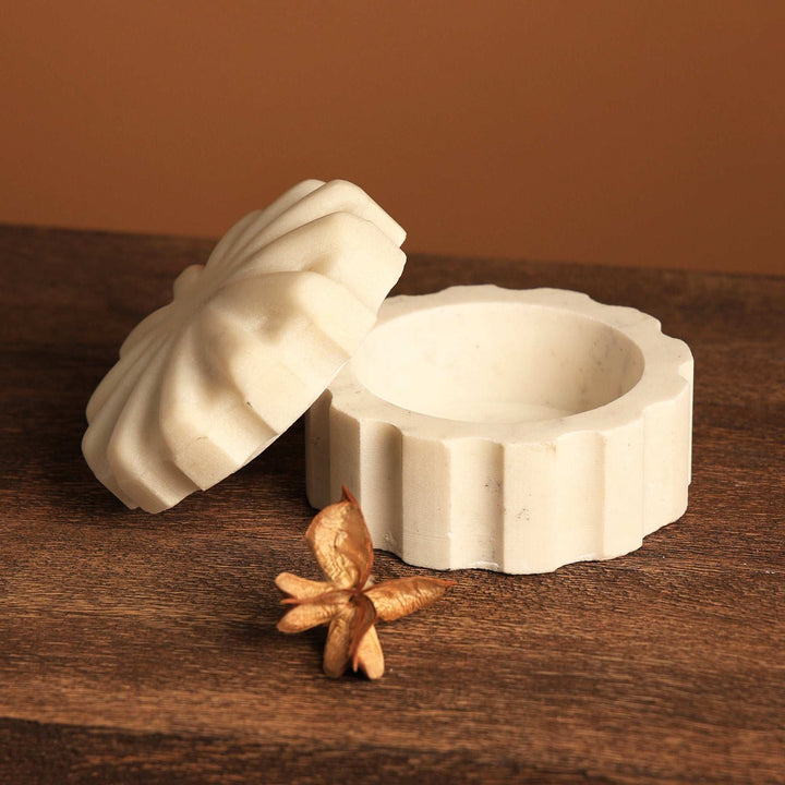 Roger Ceramic Food Storage Jar with Lid