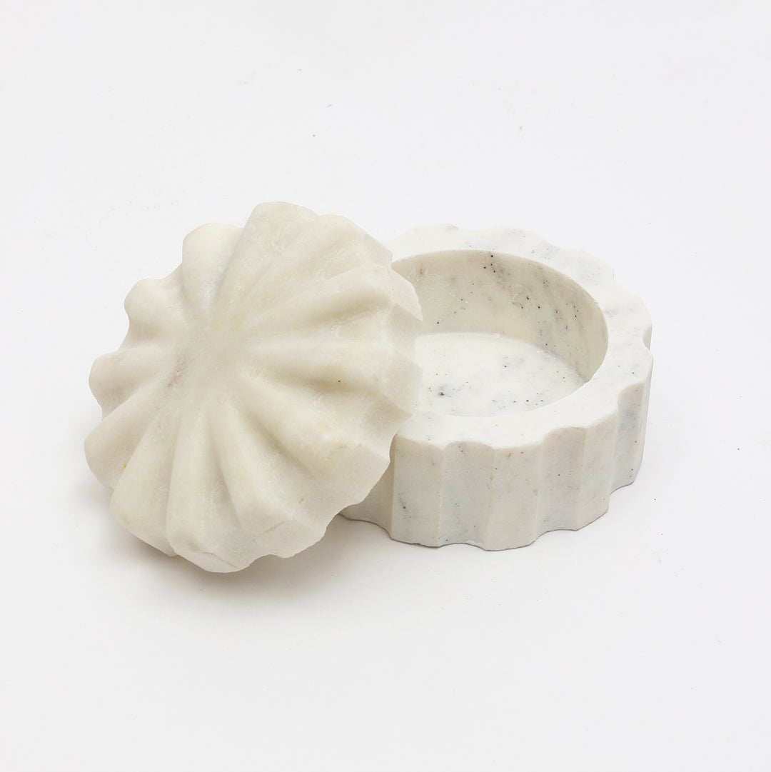 Tarro de almacenamiento de alimentos de cerámica Roger con tapa