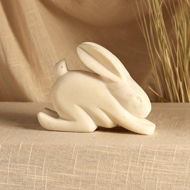 Steve Bunny