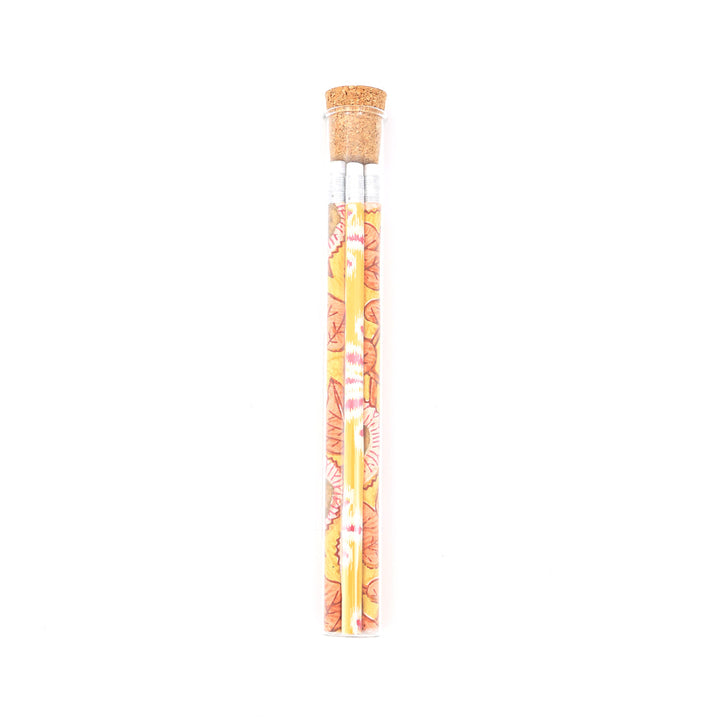 Screen Printed Recycled Cotton Paper Pencils Set of 5 in Glass Tube – Eco-Friendly Writing Tools - RPP.PNCL.120