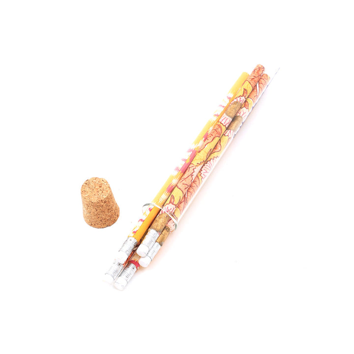 Screen Printed Recycled Cotton Paper Pencils Set of 5 in Glass Tube – Eco-Friendly Writing Tools - RPP.PNCL.120