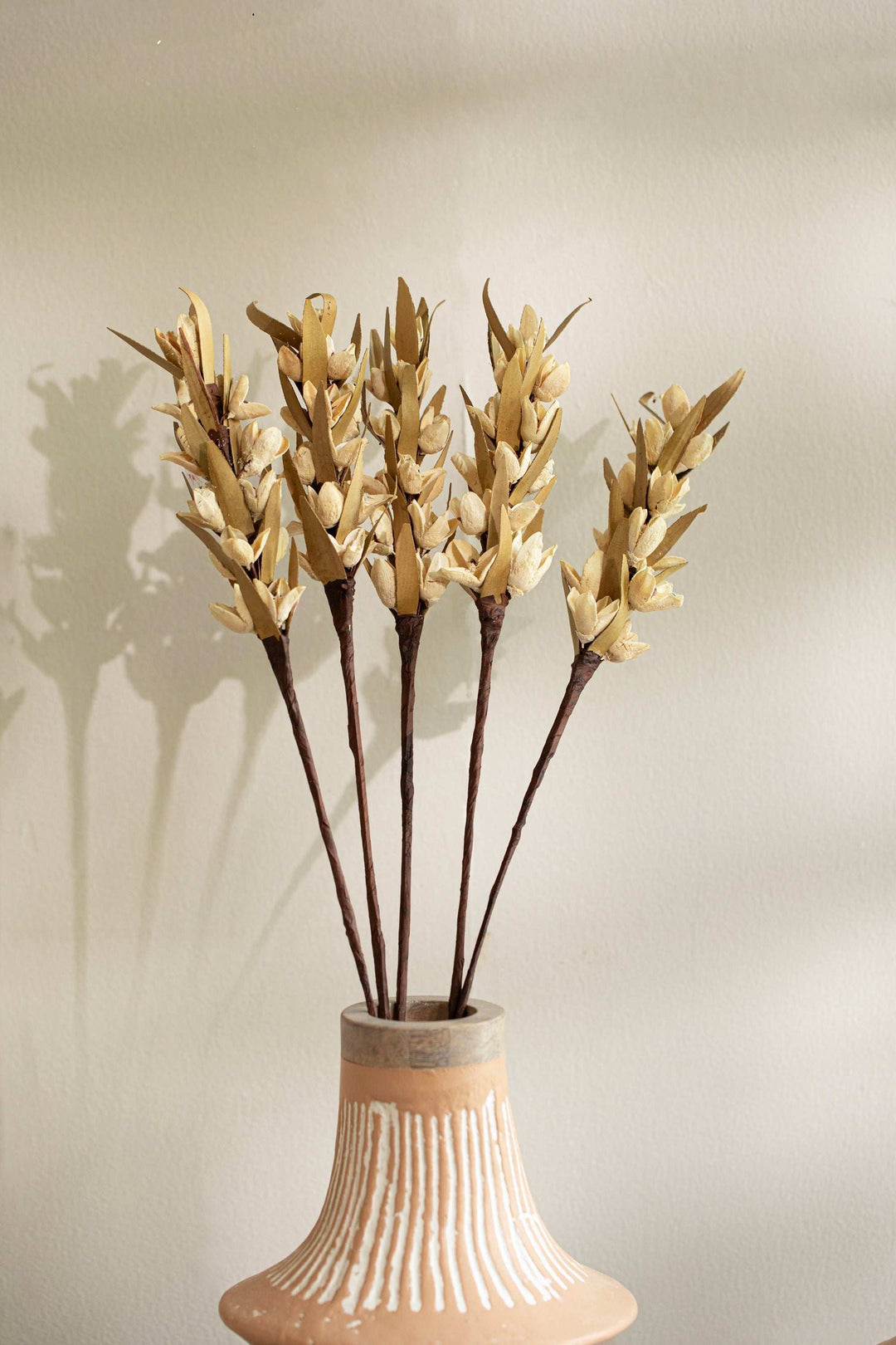 Malar Bakuli Preserved Dry Stems Set of 5