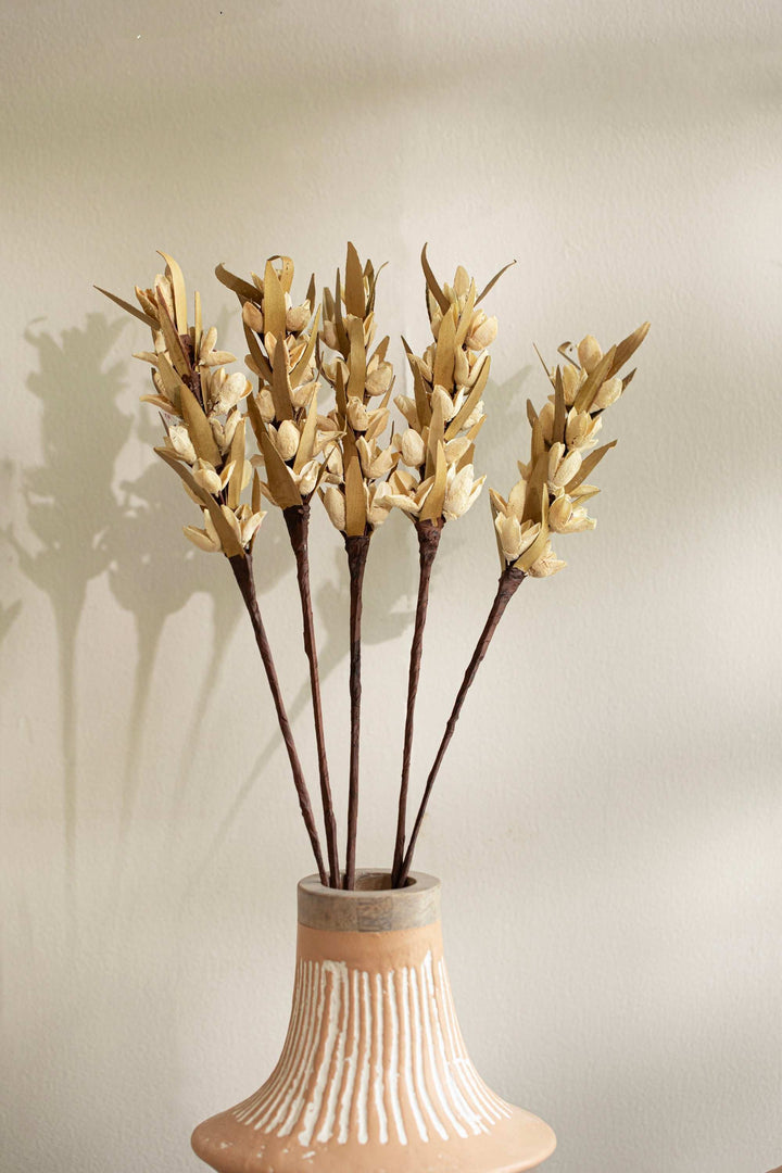 Malar Bakuli Preserved Dry Stems Set of 5