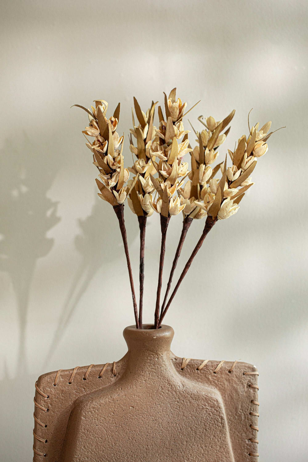 Malar Bakuli Preserved Dry Stems Set of 5