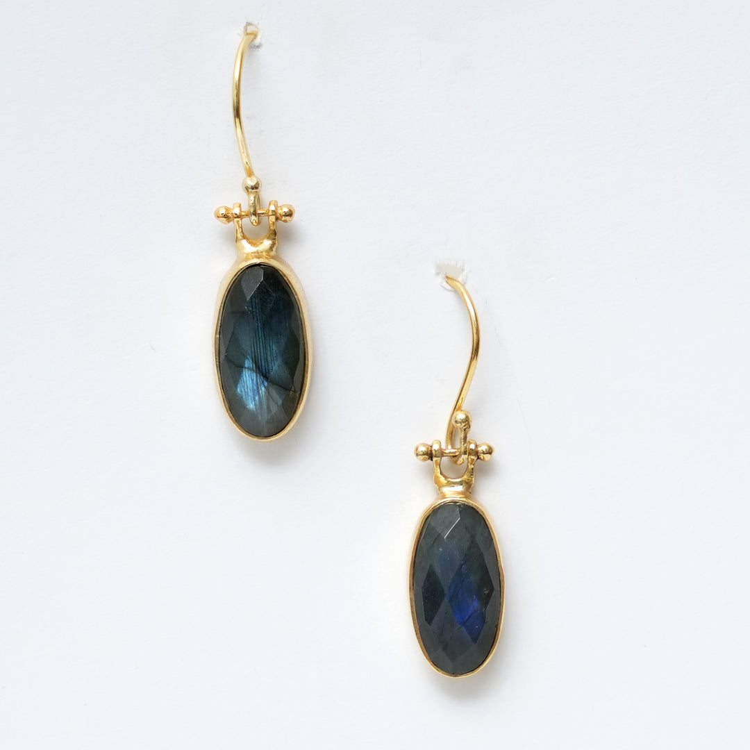 Labradorite Drop Earrings – Polished Radiant Cut
