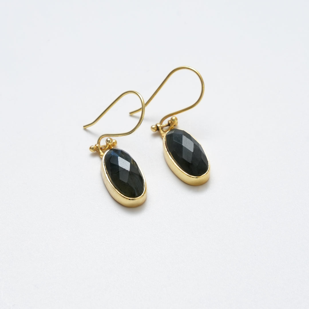 Labradorite Drop Earrings – Polished Radiant Cut