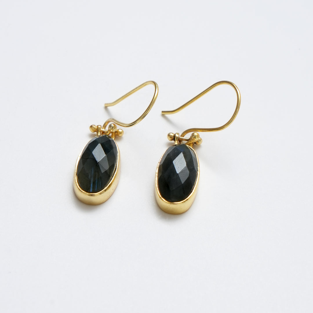 Labradorite Drop Earrings – Polished Radiant Cut