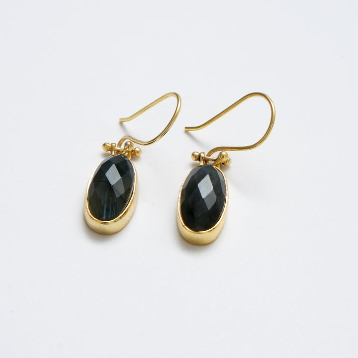Labradorite Drop Earrings – Polished Radiant Cut