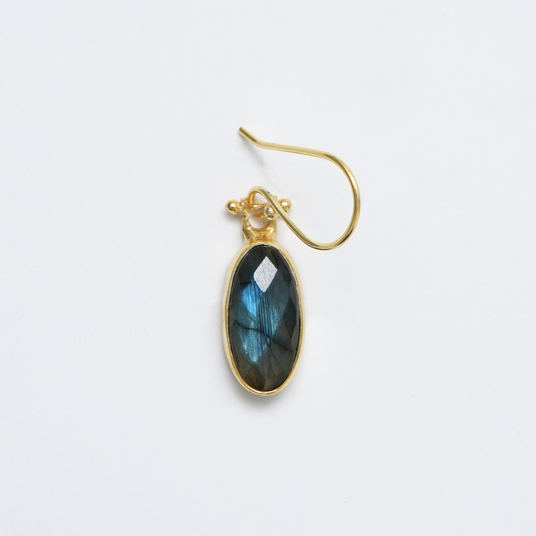 Labradorite Drop Earrings – Polished Radiant Cut