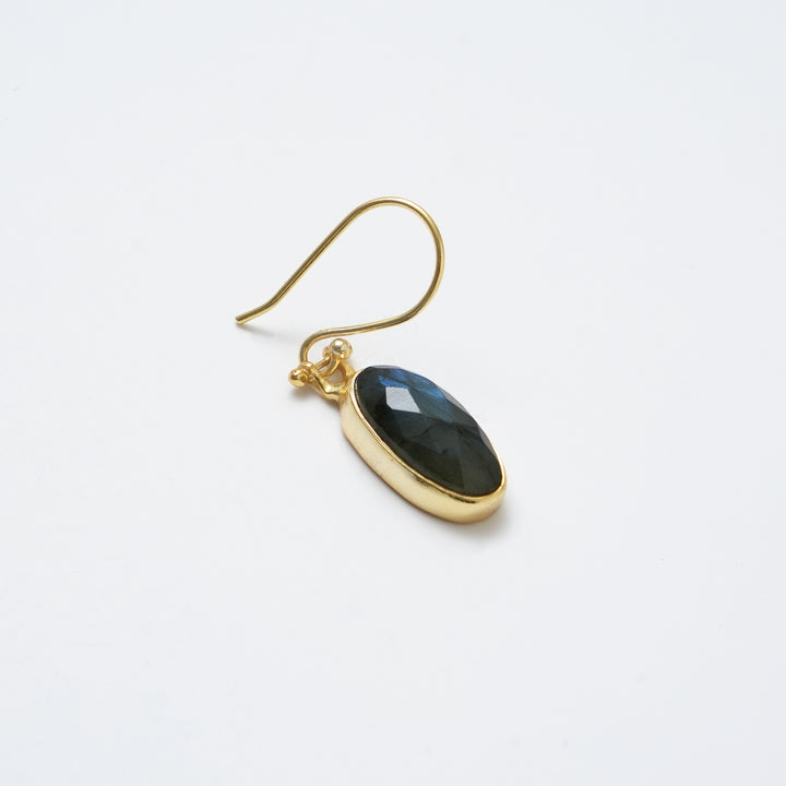 Labradorite Drop Earrings – Polished Radiant Cut