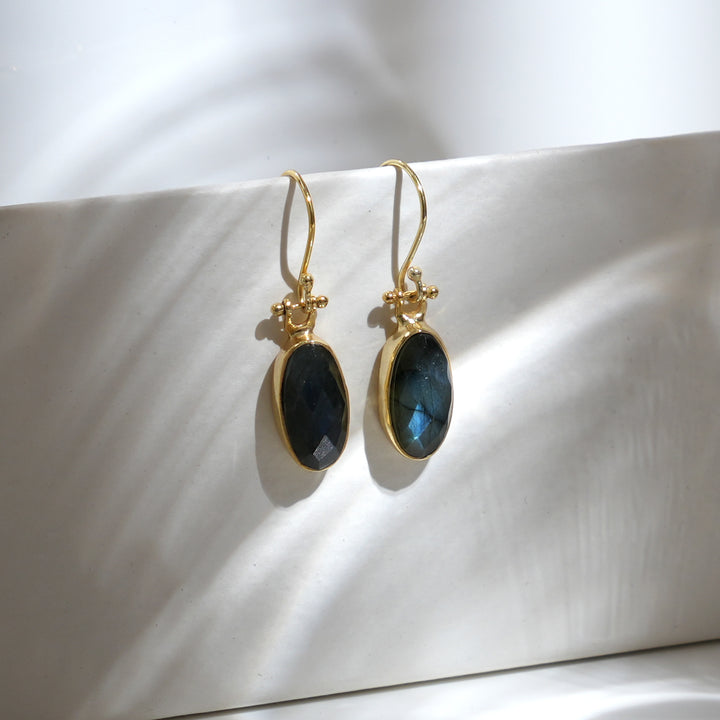 Labradorite Drop Earrings – Polished Radiant Cut