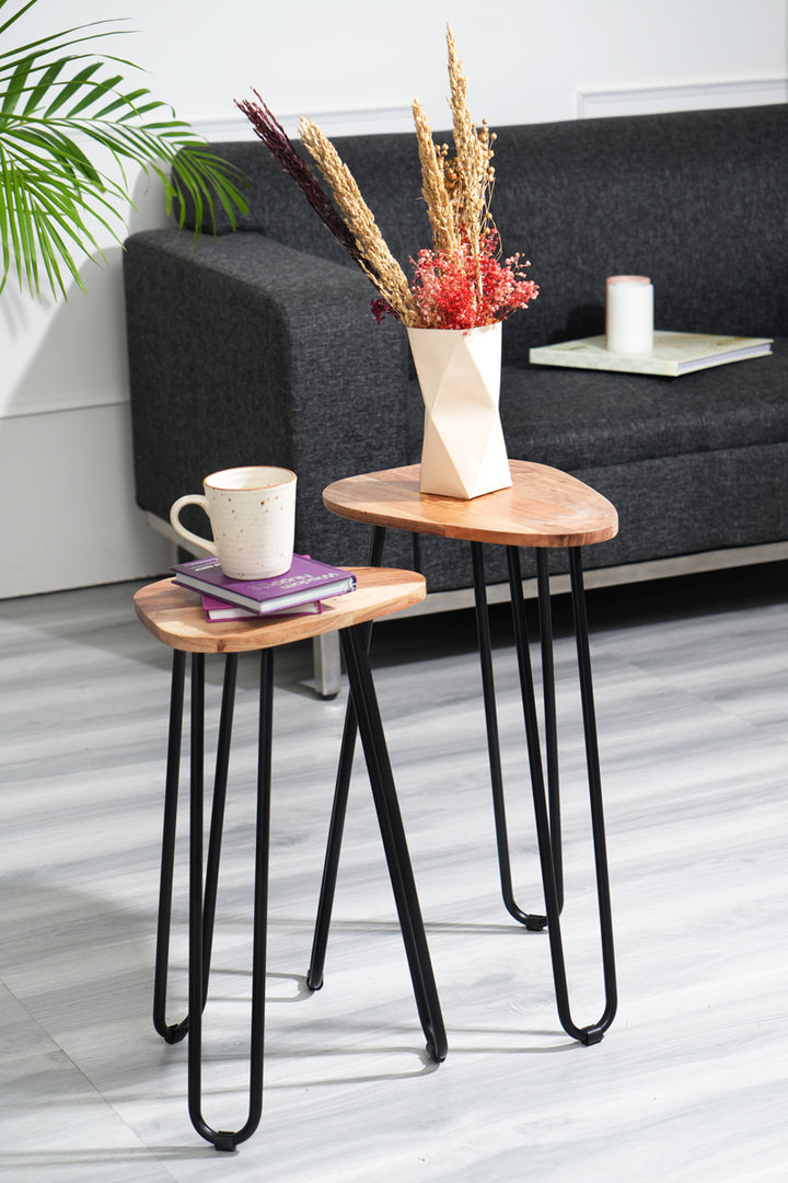 Set of 2 Iron Tables – Modern and Versatile Accent Tables