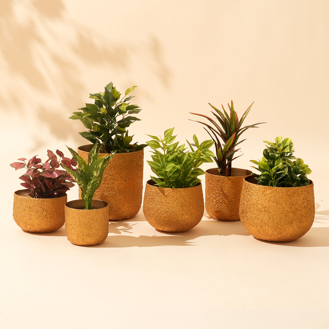 Set of 3 Gilded Crater Orb Iron Planter Pot – Gold Textured Decorative Bowl
