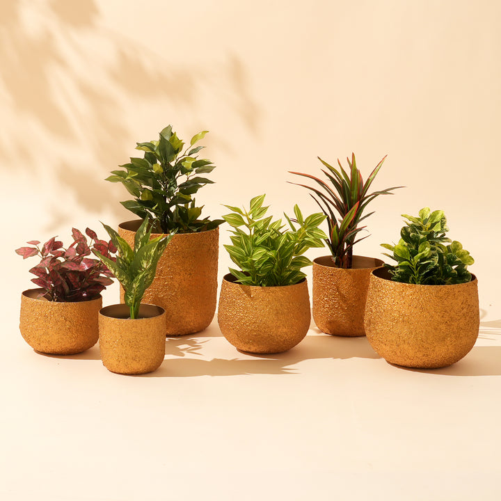Set of 3 Gilded Crater Orb Iron Planter Pot – Gold Textured Decorative Bowl