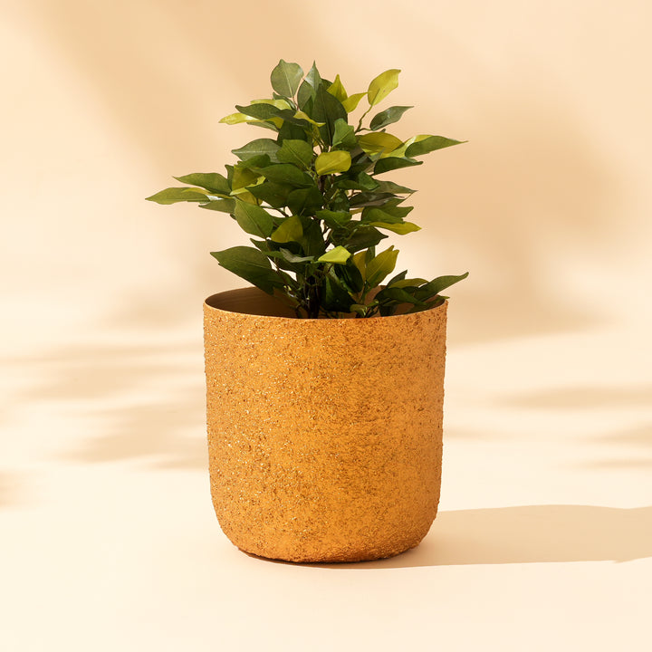 Gilded Stone Texture Iron Pot – Rustic Gold Decorative Planter