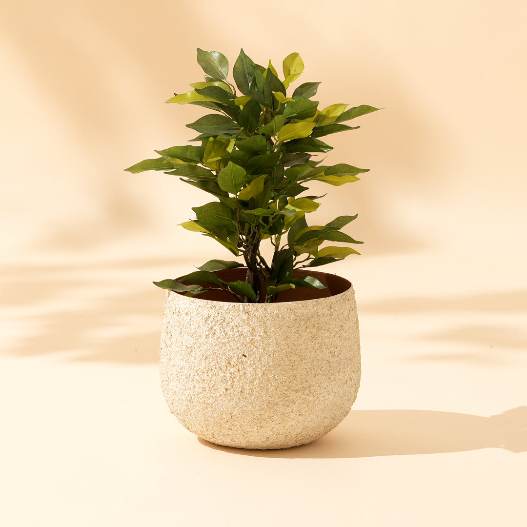 Textured Stone-Finish Iron Planter Pot – White | Decorative Indoor Planter