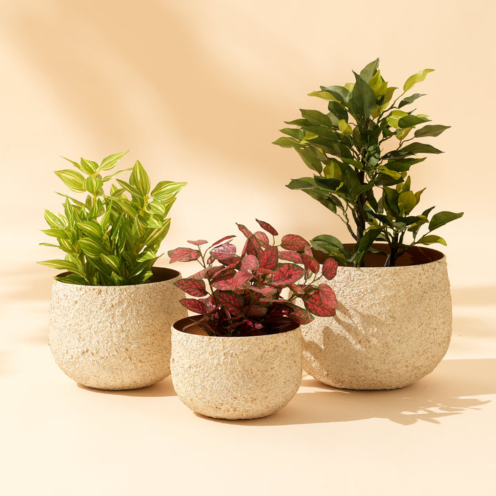 Textured Stone-Finish Iron Planter Pot – White | Decorative Indoor Planter
