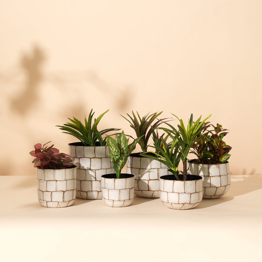 Pebble Mosaic Iron Pot – Decorative Metal Planter with Stone-Inspired Mosaic Finish
