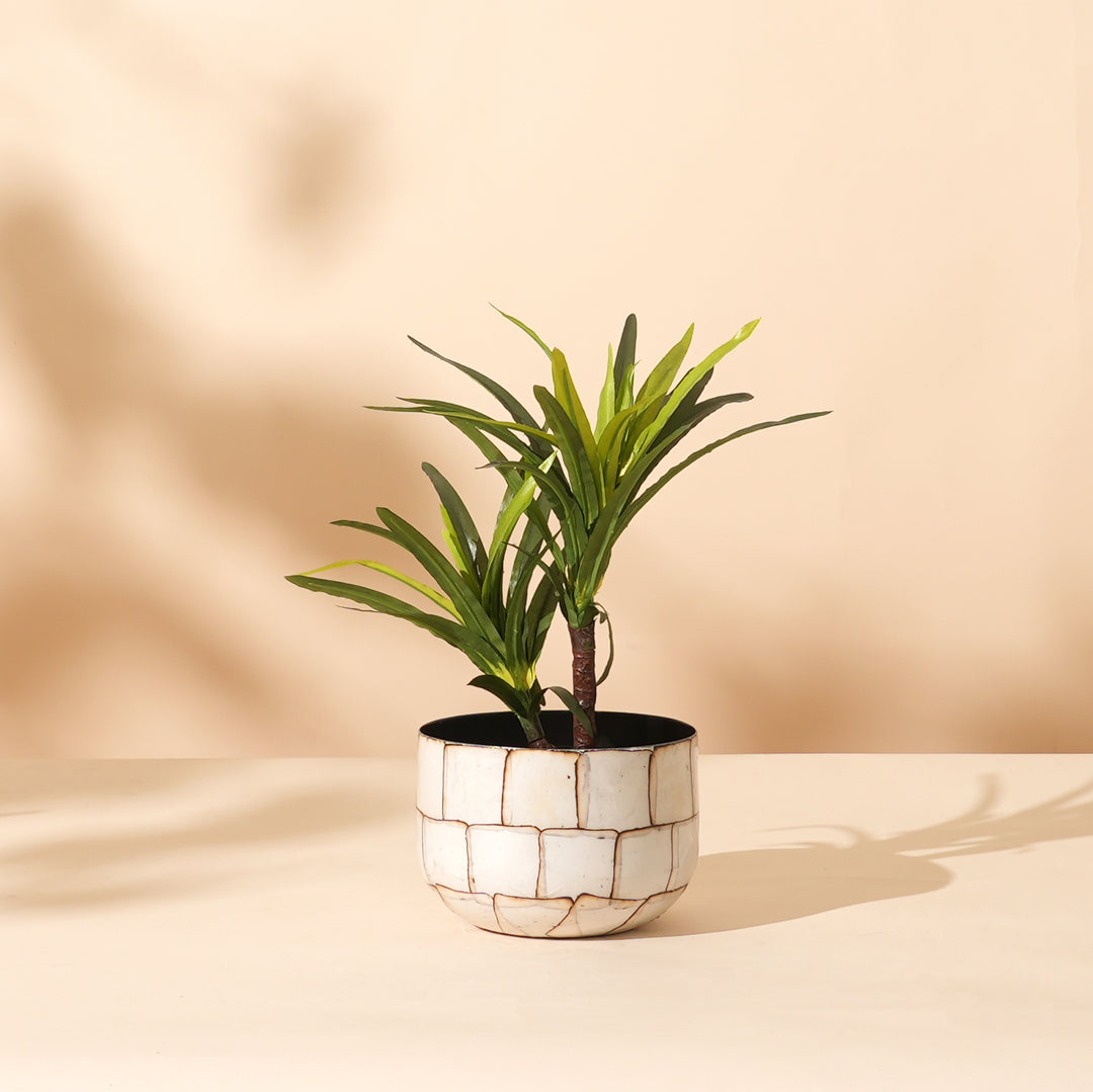Set of 3 Vintage Crackle Glaze Round Iron Planter Pot – White Stone Mosaic Design