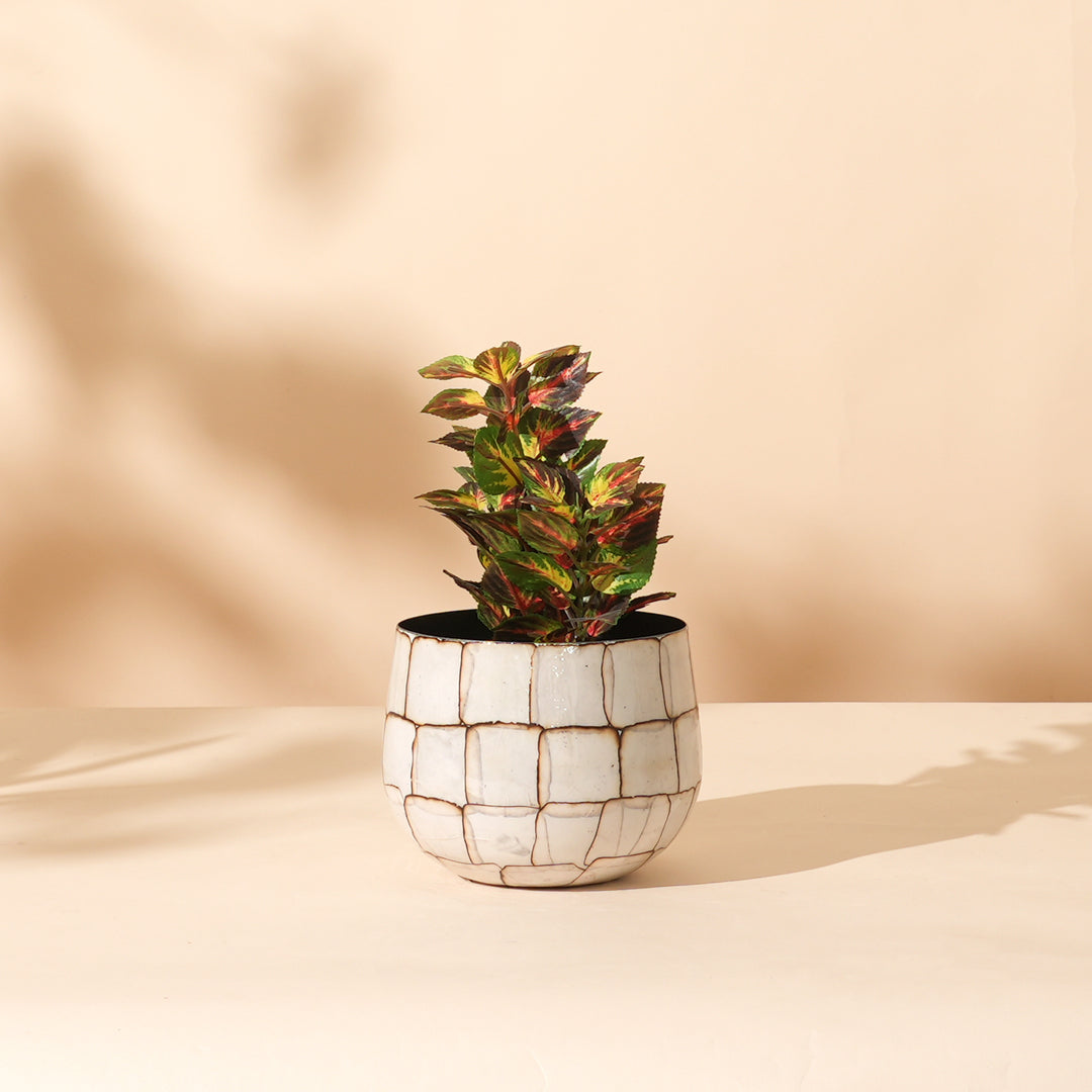 Set of 3 Vintage Crackle Glaze Round Iron Planter Pot – White Stone Mosaic Design
