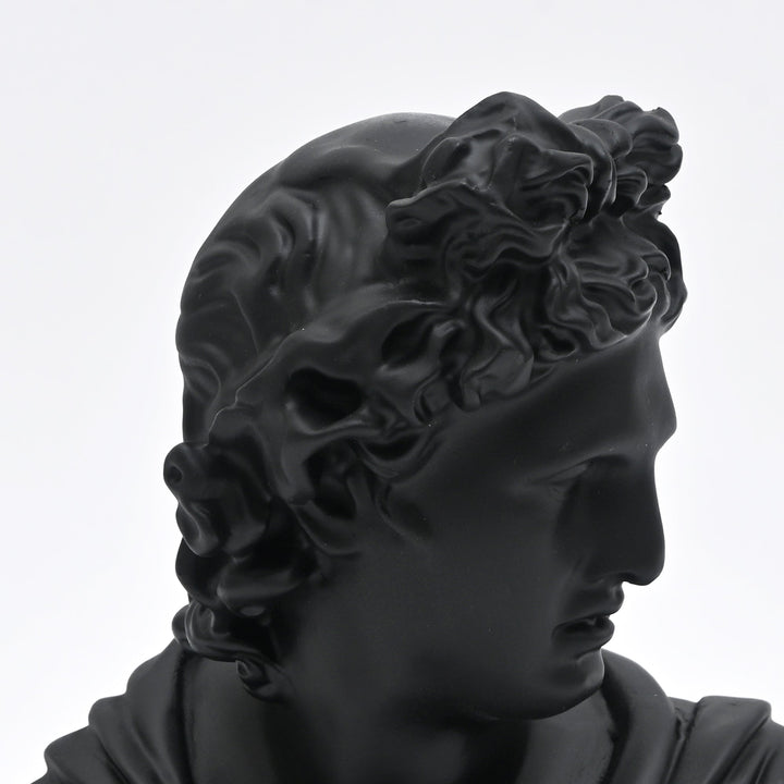 Black Classical Greco-Roman Bust Sculpture in Matte Resin