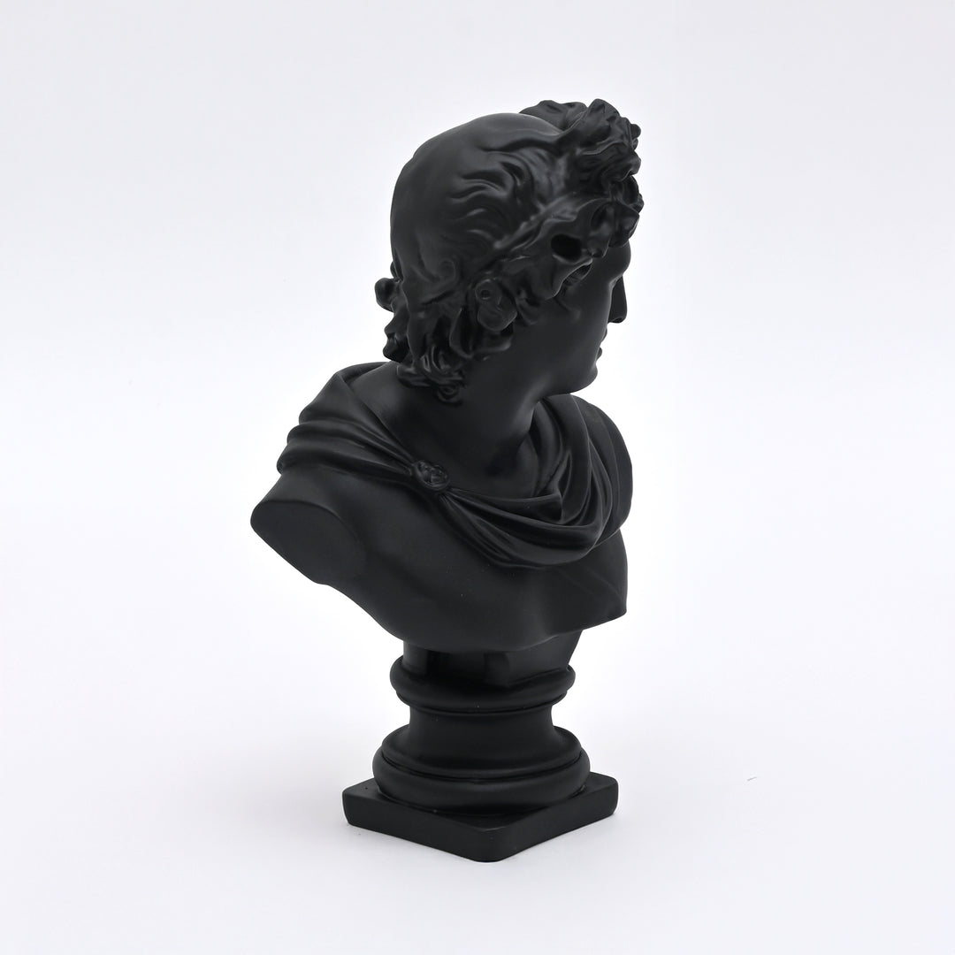 Black Classical Greco-Roman Bust Sculpture in Matte Resin