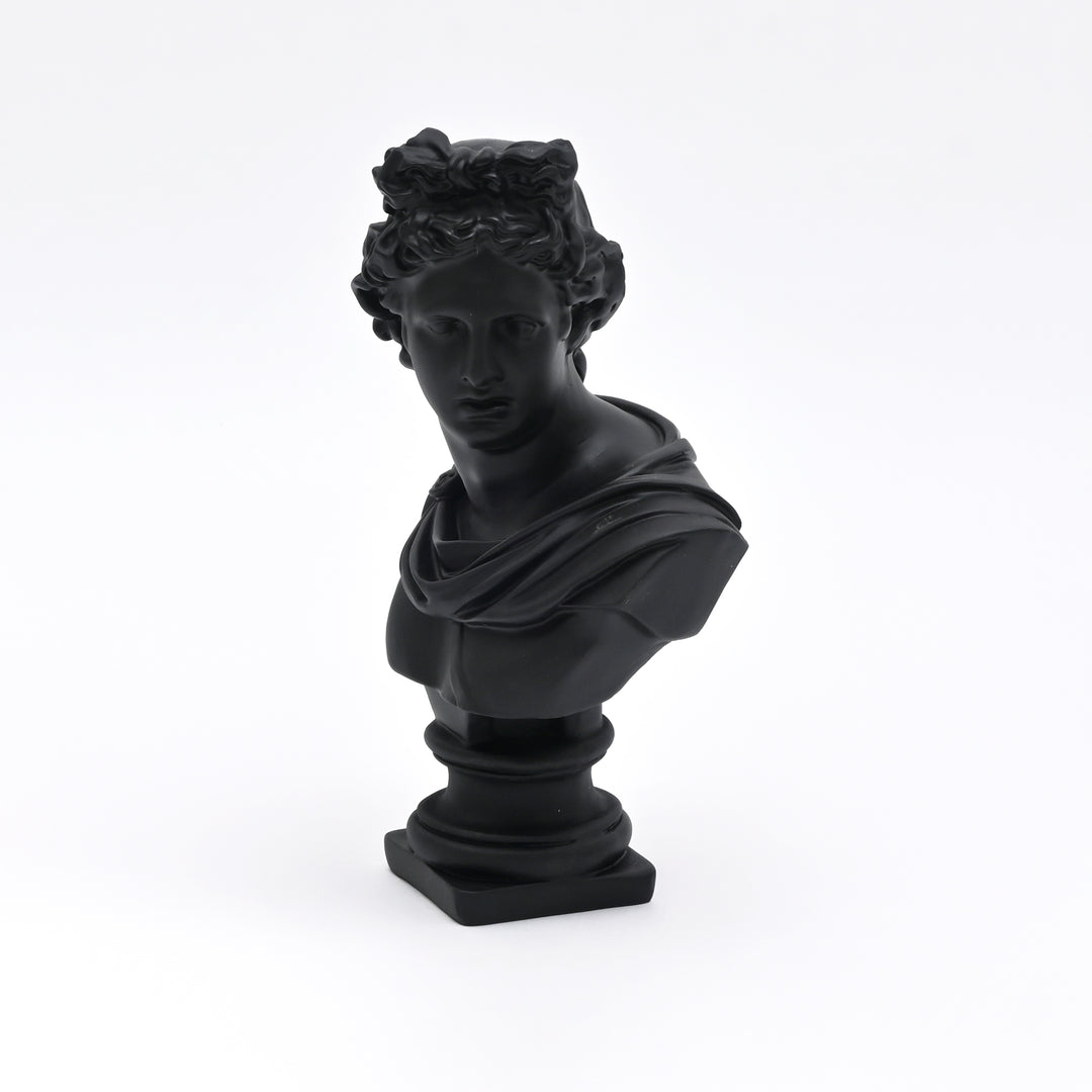 Black Classical Greco-Roman Bust Sculpture in Matte Resin