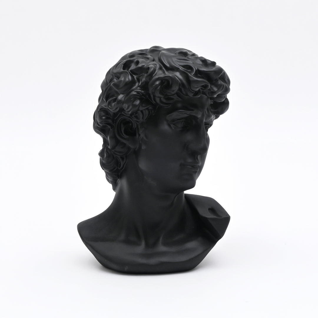 Black Monochrome Classical Bust Sculpture in Matte Resin