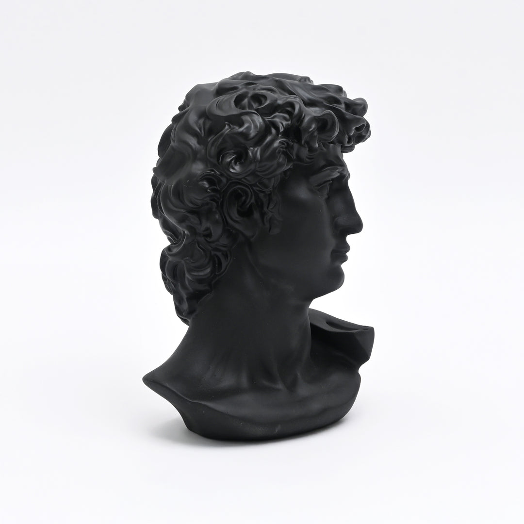 Black Monochrome Classical Bust Sculpture in Matte Resin