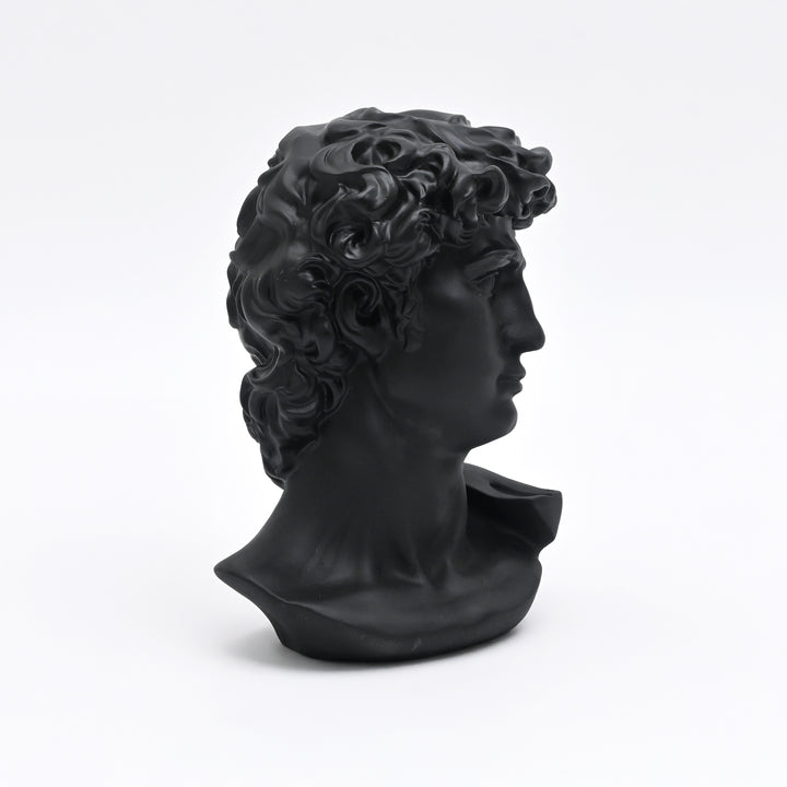 Black Monochrome Classical Bust Sculpture in Matte Resin