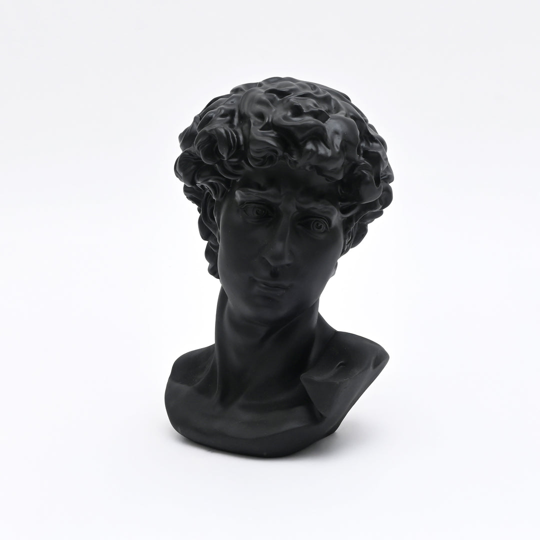 Black Monochrome Classical Bust Sculpture in Matte Resin