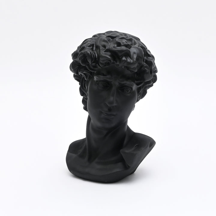 Black Monochrome Classical Bust Sculpture in Matte Resin