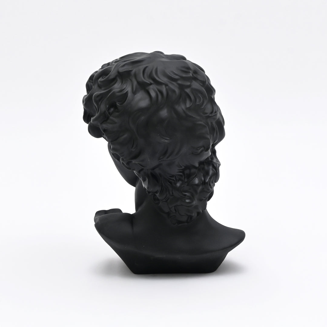 Black Monochrome Classical Bust Sculpture in Matte Resin