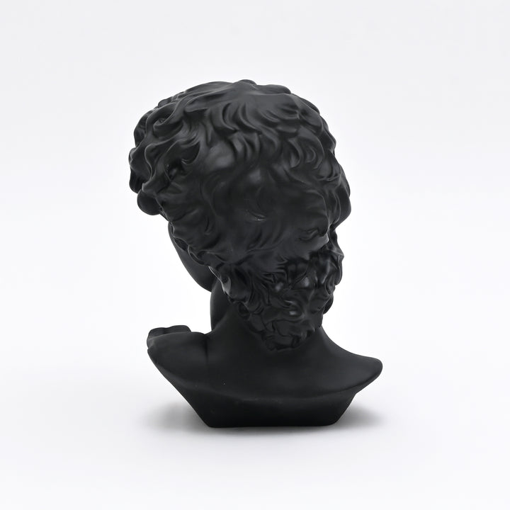 Black Monochrome Classical Bust Sculpture in Matte Resin