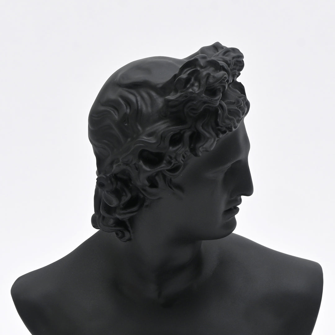 Black Neo-Classical Bust Sculpture in Matte Resin