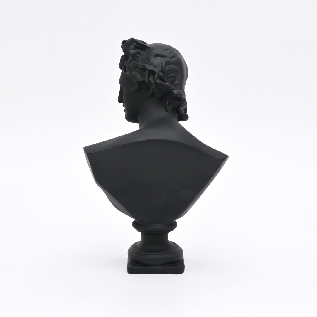 Black Neo-Classical Bust Sculpture in Matte Resin