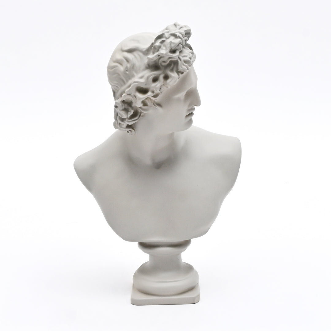 Grey Neo-Classical Bust Sculpture in Matte Resin