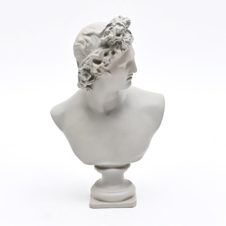 Grey Neo-Classical Bust Sculpture in Matte Resin