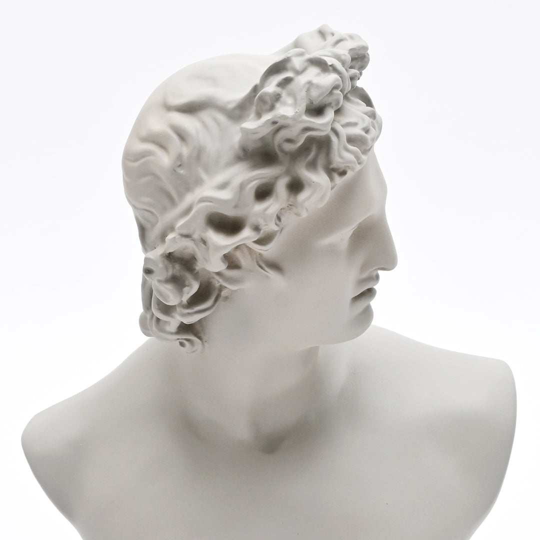 Grey Neo-Classical Bust Sculpture in Matte Resin