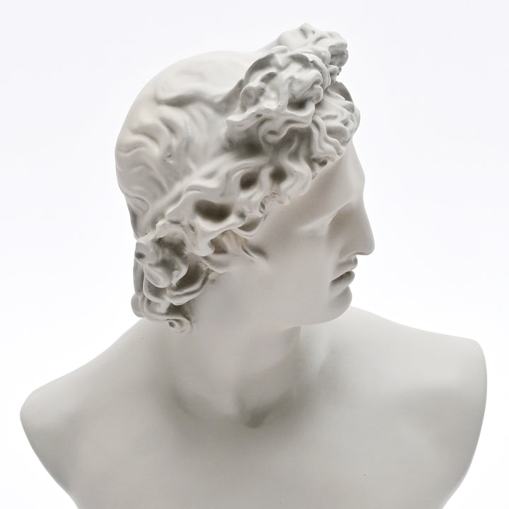 Grey Neo-Classical Bust Sculpture in Matte Resin