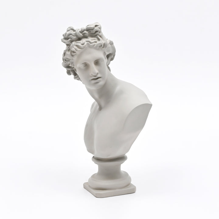 Grey Neo-Classical Bust Sculpture in Matte Resin
