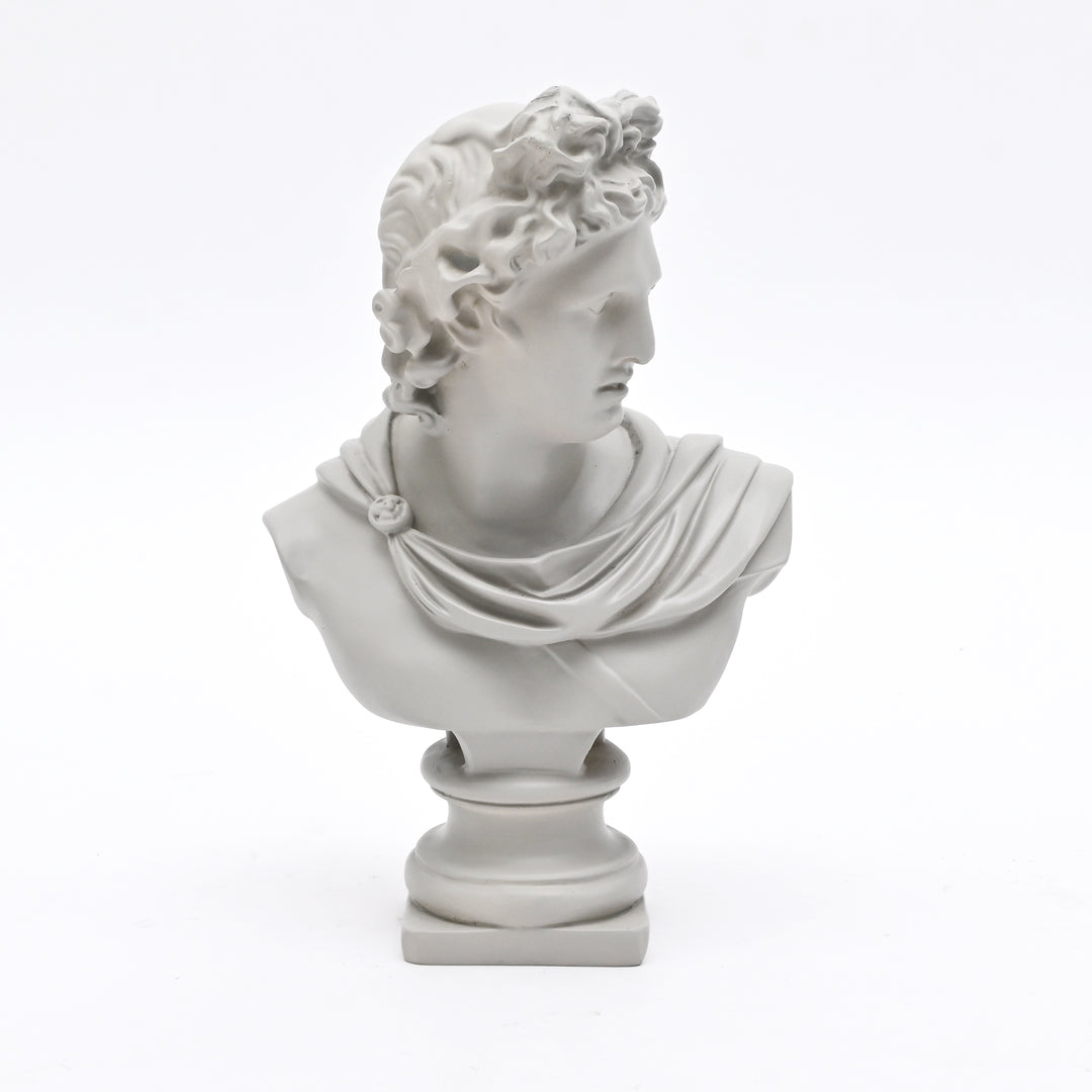 Grey Classical Greco-Roman Bust Sculpture, Matte Finish