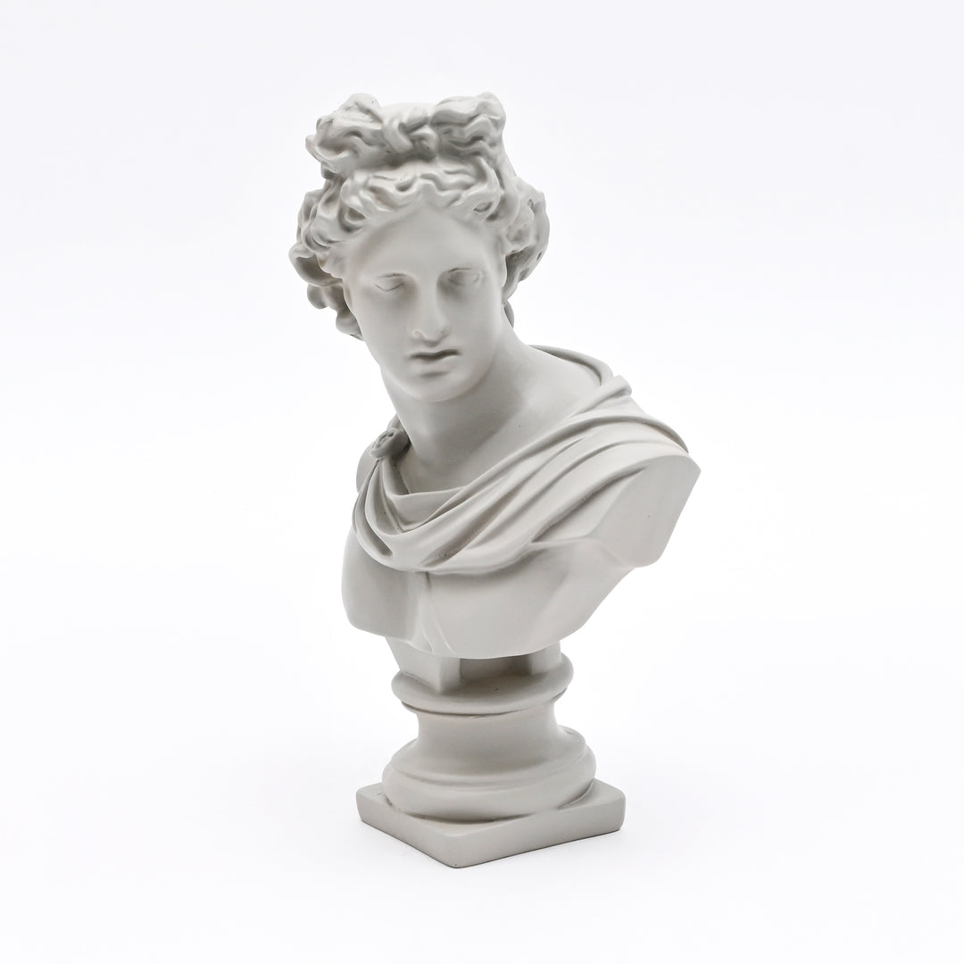 Grey Classical Greco-Roman Bust Sculpture, Matte Finish