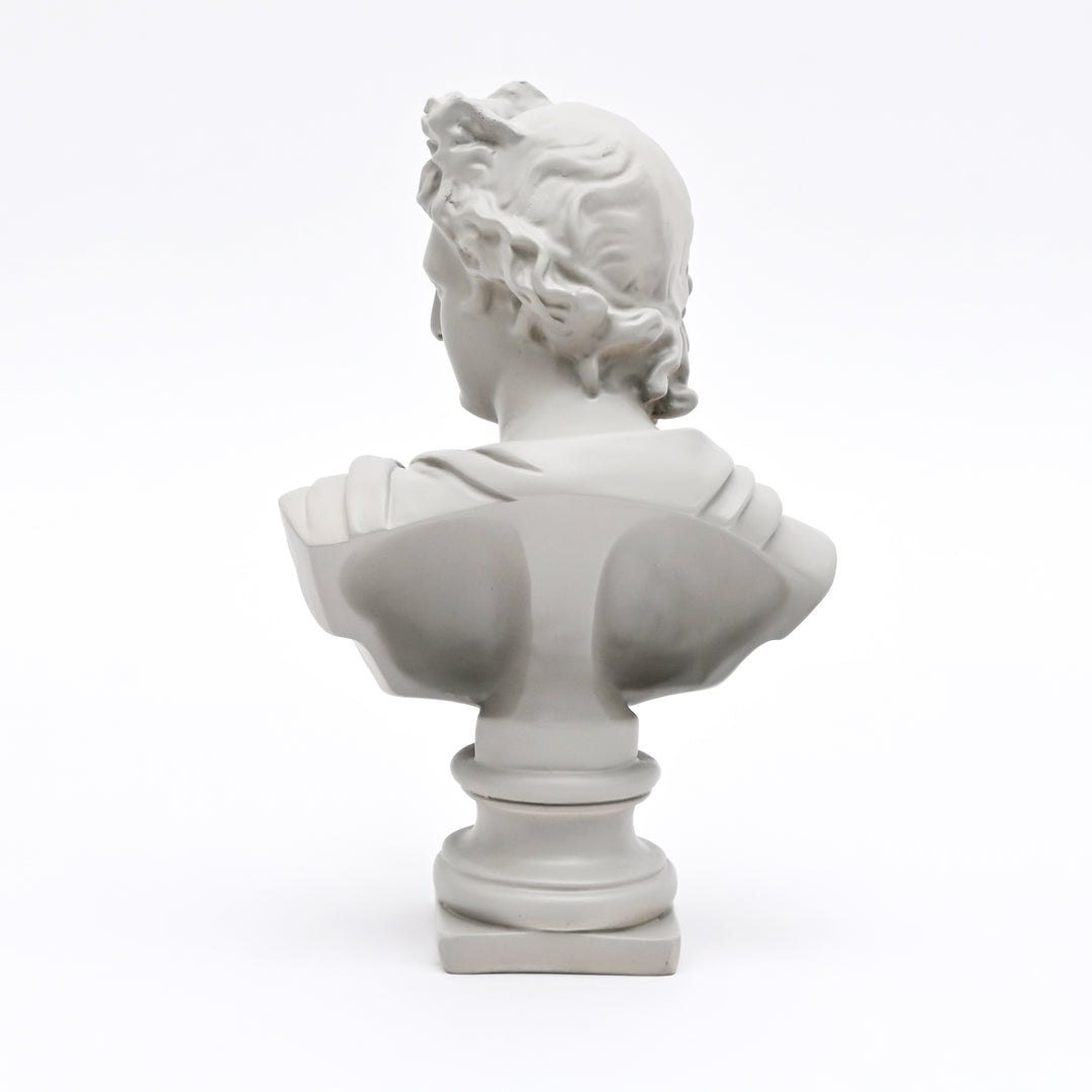 Grey Classical Greco-Roman Bust Sculpture, Matte Finish